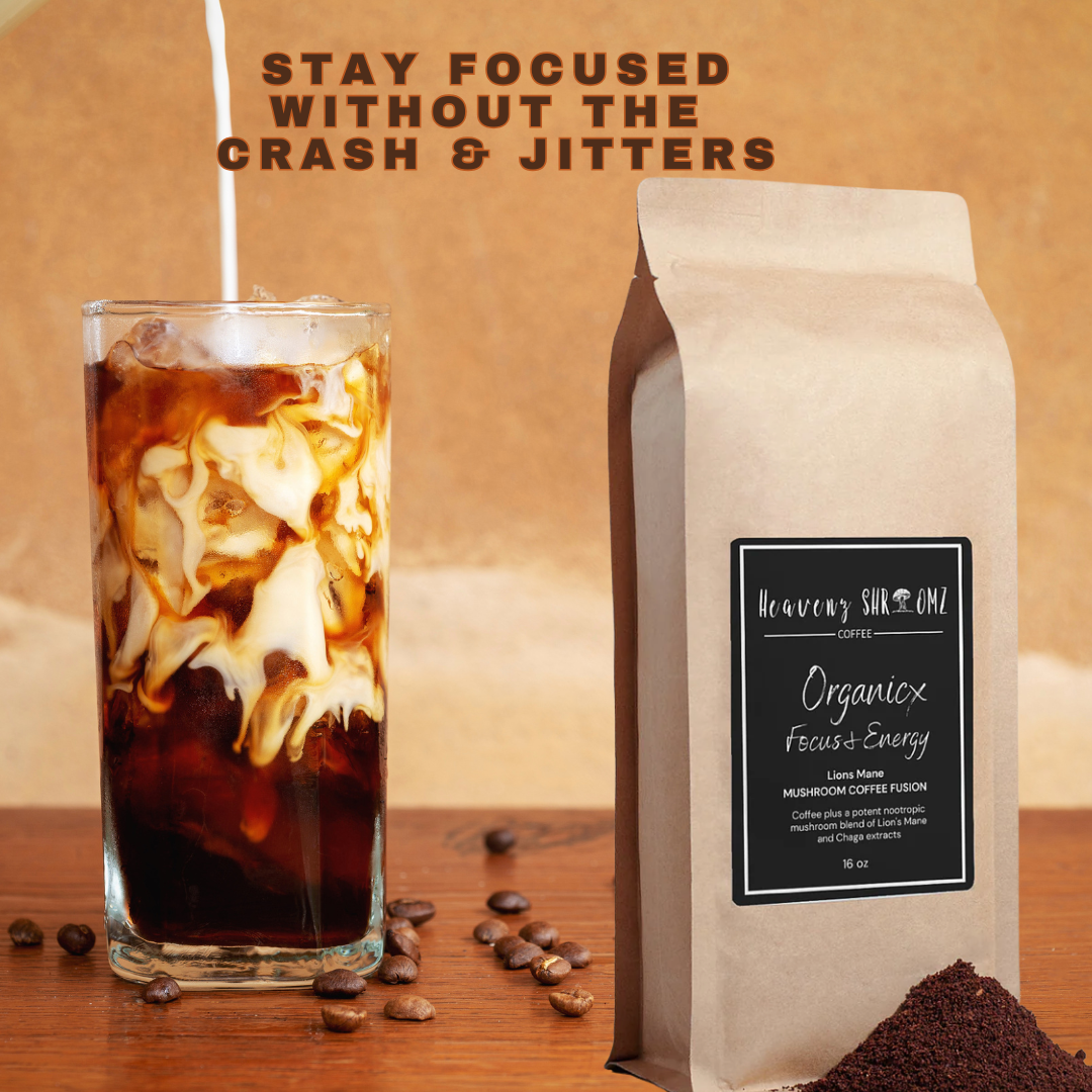 Mushroom Coffee Fusion - Lion’s Mane & Chaga 16oz